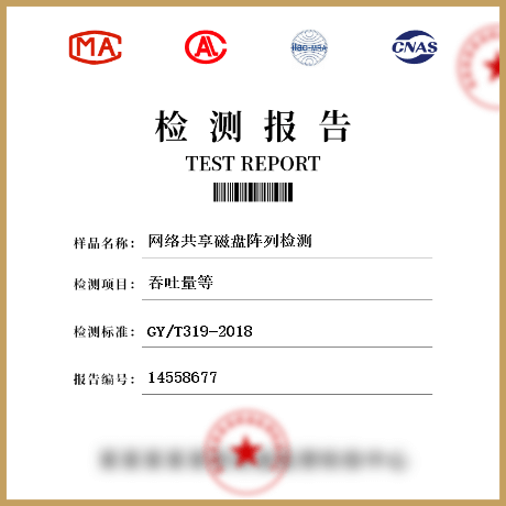 網絡共享磁盤陣列檢測